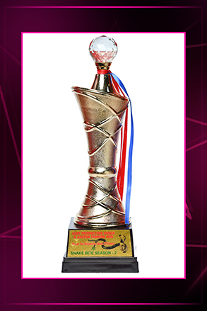 Trophy 293X439_6